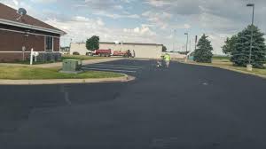 Best Driveway Snow Removal Preparation  in Ford Heights, IL